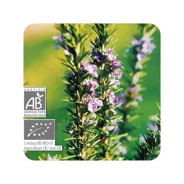 ACEITE ESENCIAL DE ROMERO VERBENONA BIO (ROSMARINUS OFFICINALIS CT VERBENONA) 5 CC PRANAROM