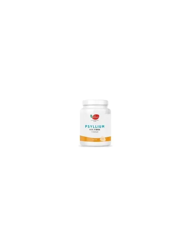 Granero Integral Psyllium Bio 400G