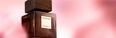 L’Essentiel